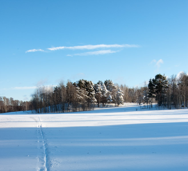 De vallei nabij m’n kamer veranderde na een sneeuwstorm in een winterlandschap. In korte tijd viel er zoveel sneeuw dat al het openbaar vervoer stil kwam te staan in Stockholm.