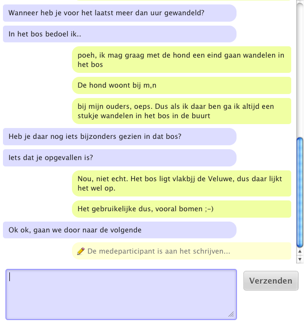 Screenshot van de chatsoftware.