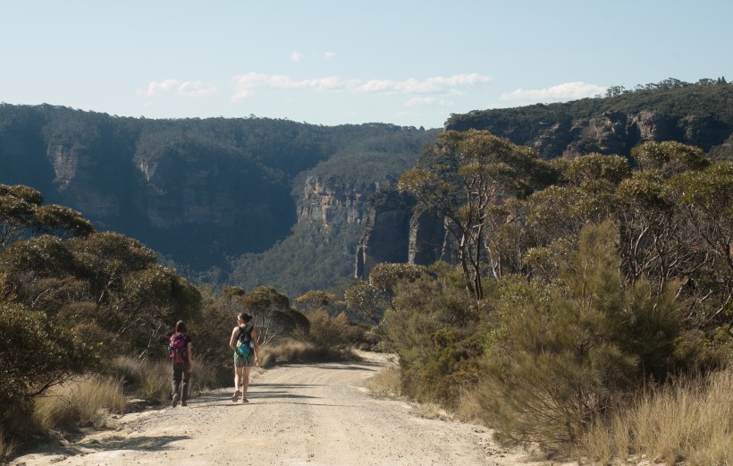 Banner image for post Blue Mountains VI